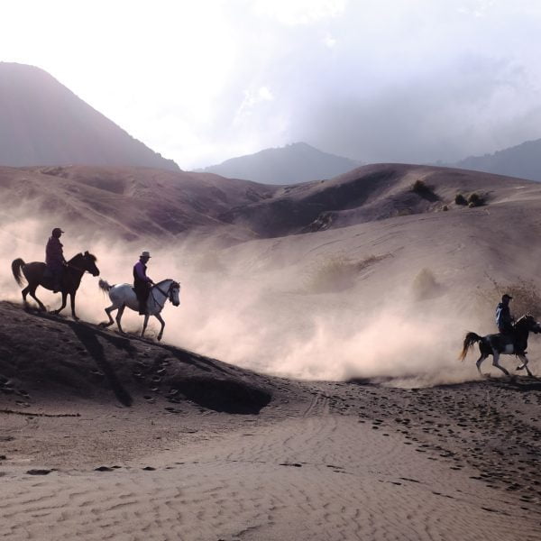 padang pasir gunung bromo