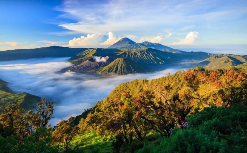 How-to-Travel-to-Bromo-from-Singapore-Tips-and-What-to-Do-in-Bromo